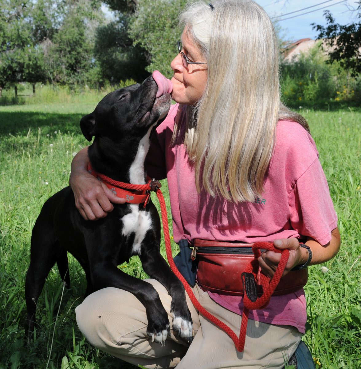 Volunteer Humane Society Of Central Arizona