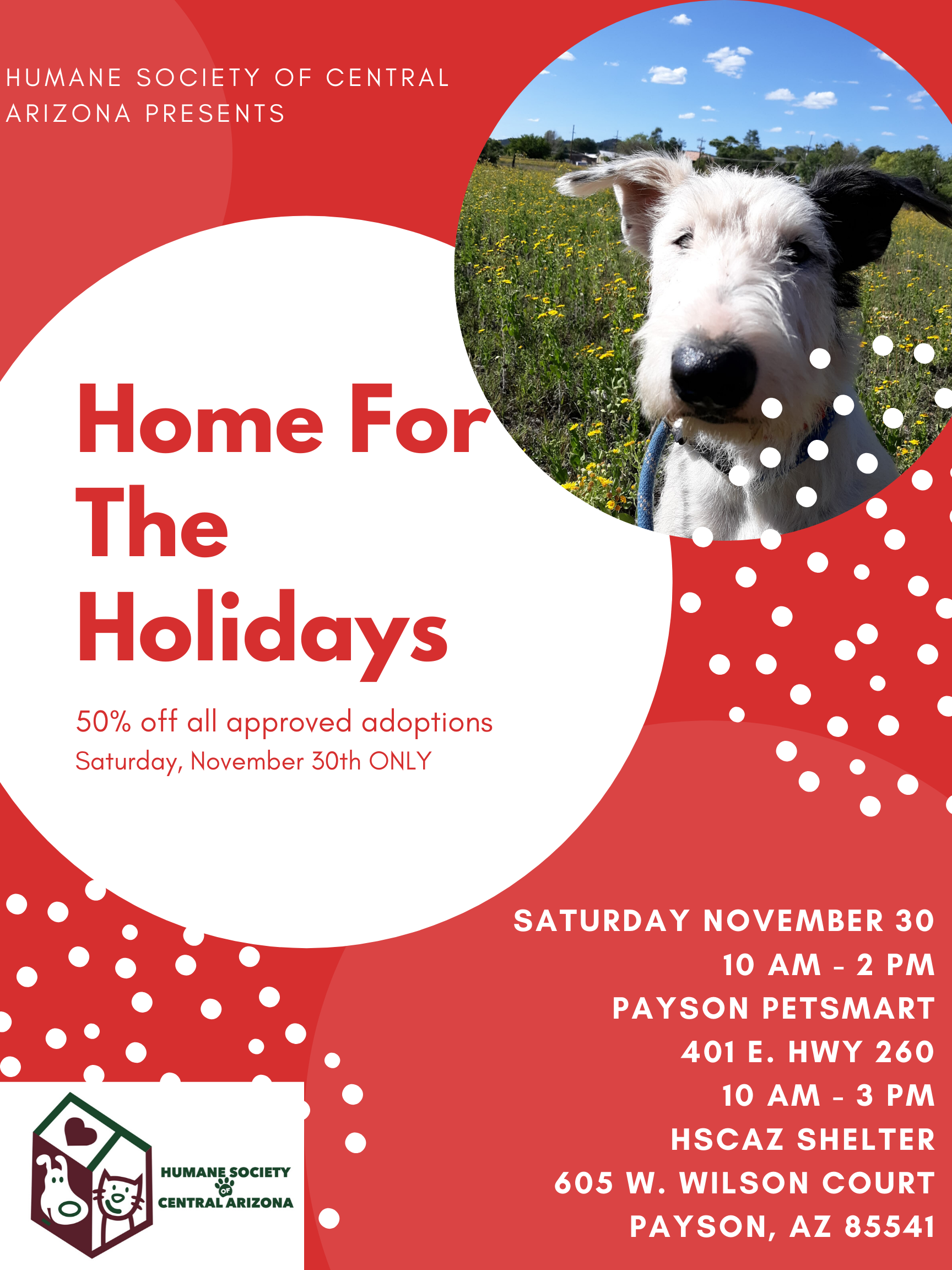Home for the Holidays Adoption Event Humane Society of Central Arizona