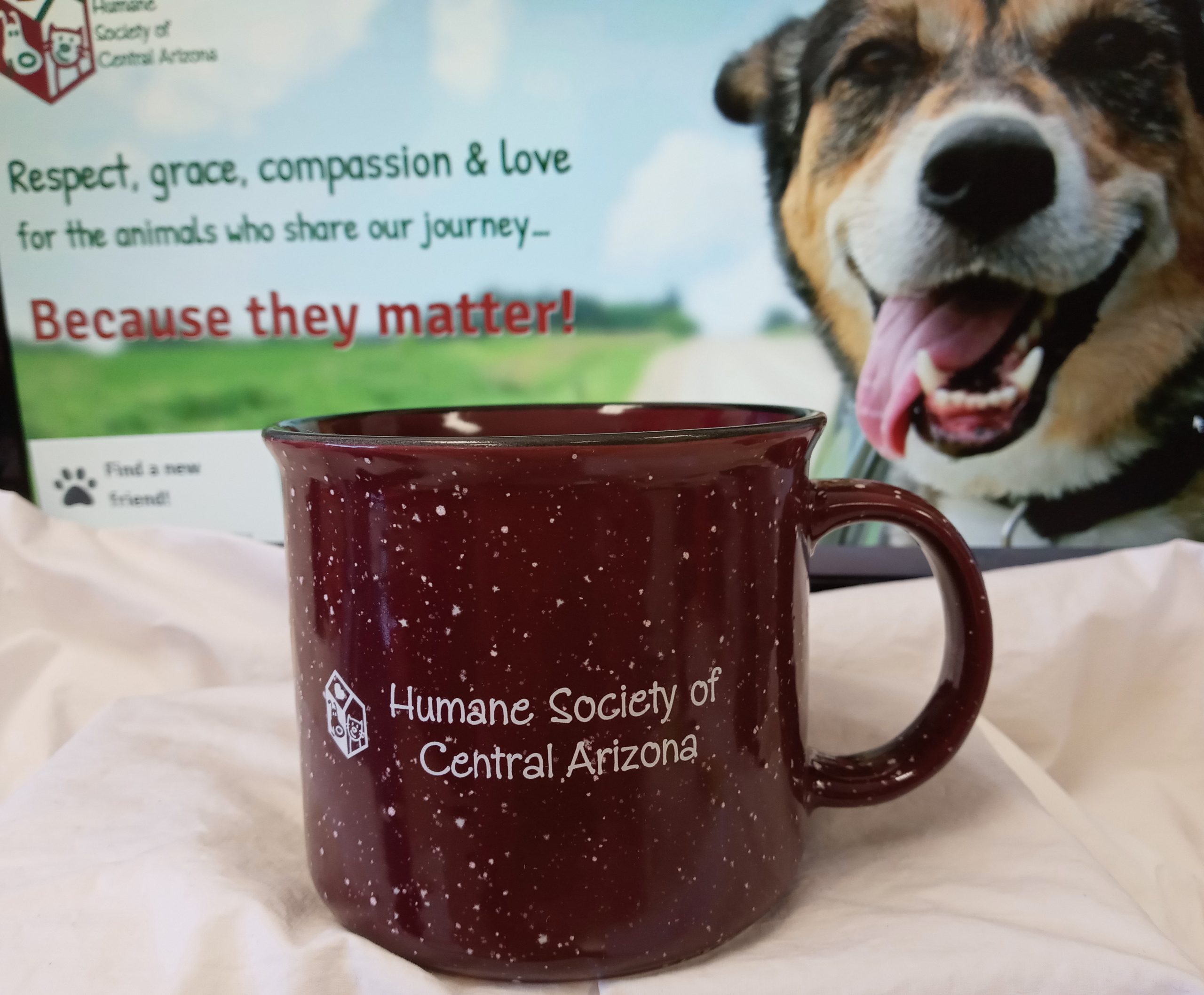 Humane Society Of Central Arizona Payson Arizona Animal Shelter Dog And Cat Adoptions
