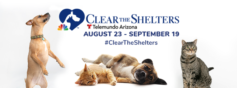 Humane Society of Central Arizona – Payson, Arizona Animal Shelter ...