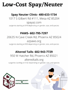 Low-Cost SpayNeuter Options