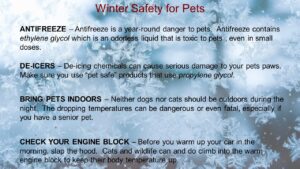 WINTER PET SAFETY