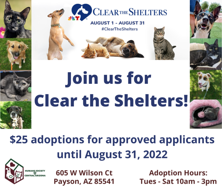 Clear the Shelters 2022 Adoptions Humane Society of Central Arizona