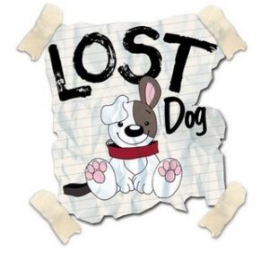lost dog image