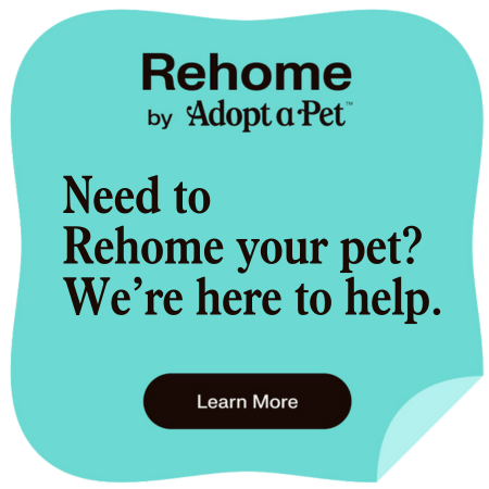 RehomebyAdoptaPet-need2