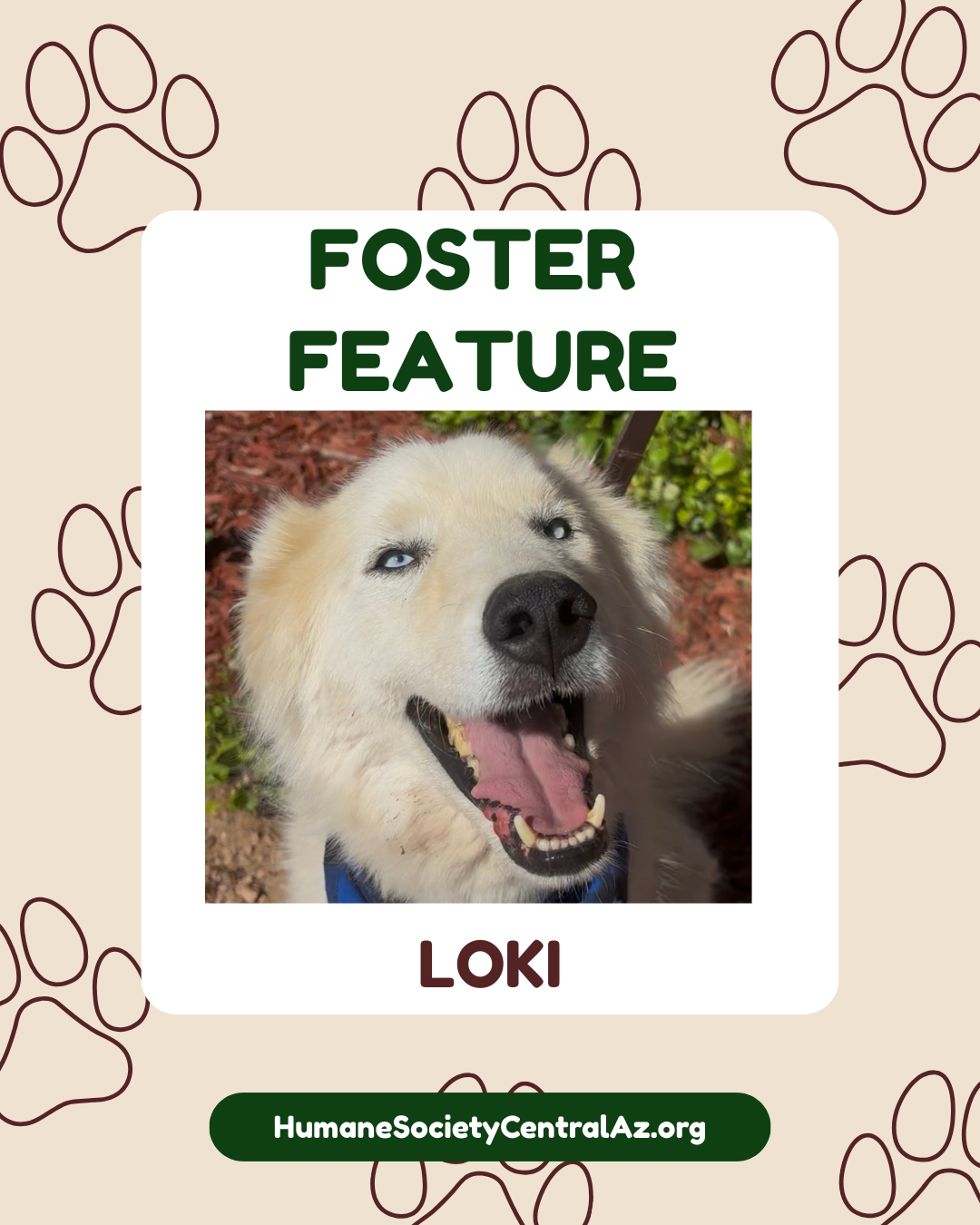 Loki Foster Feature pg 1