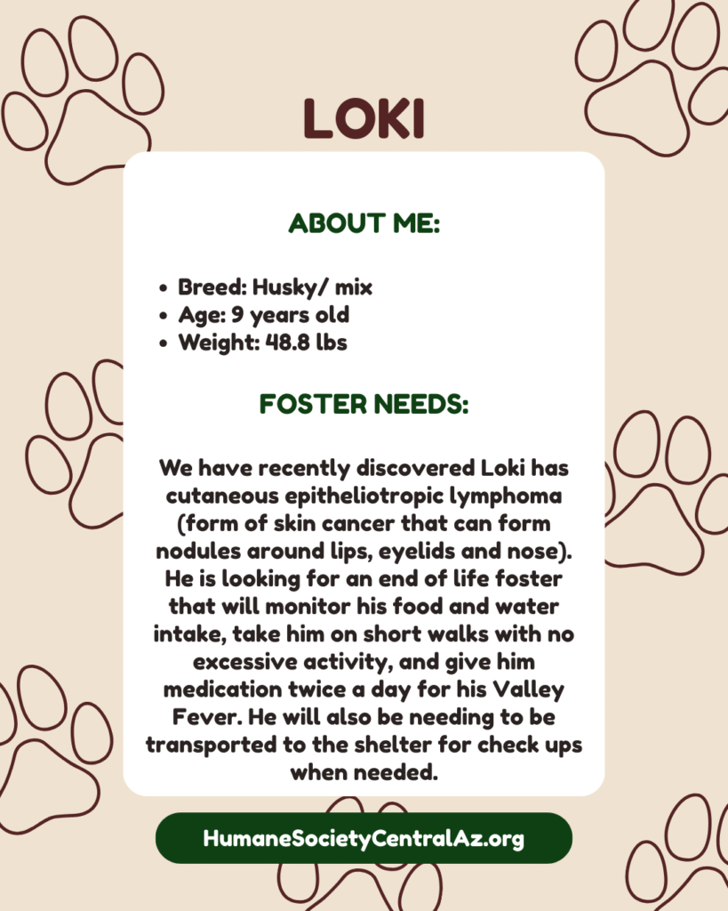 Loki Foster Feature pg 2