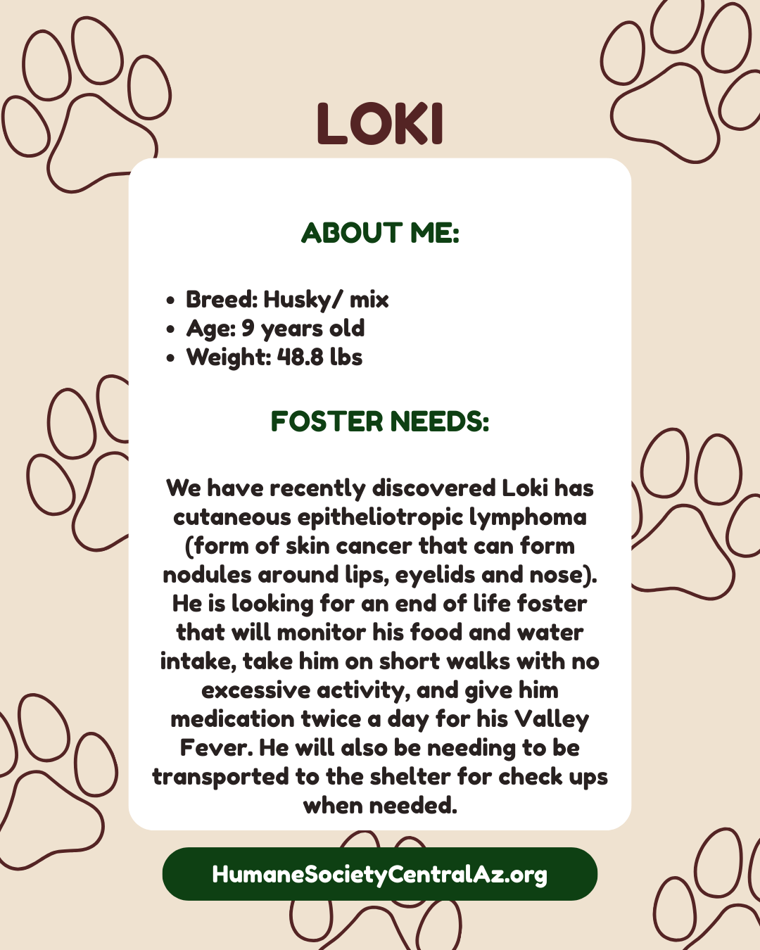 Loki Foster Feature pg 2