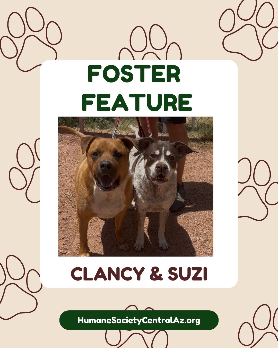 Clancy and Suzi Foster Feature