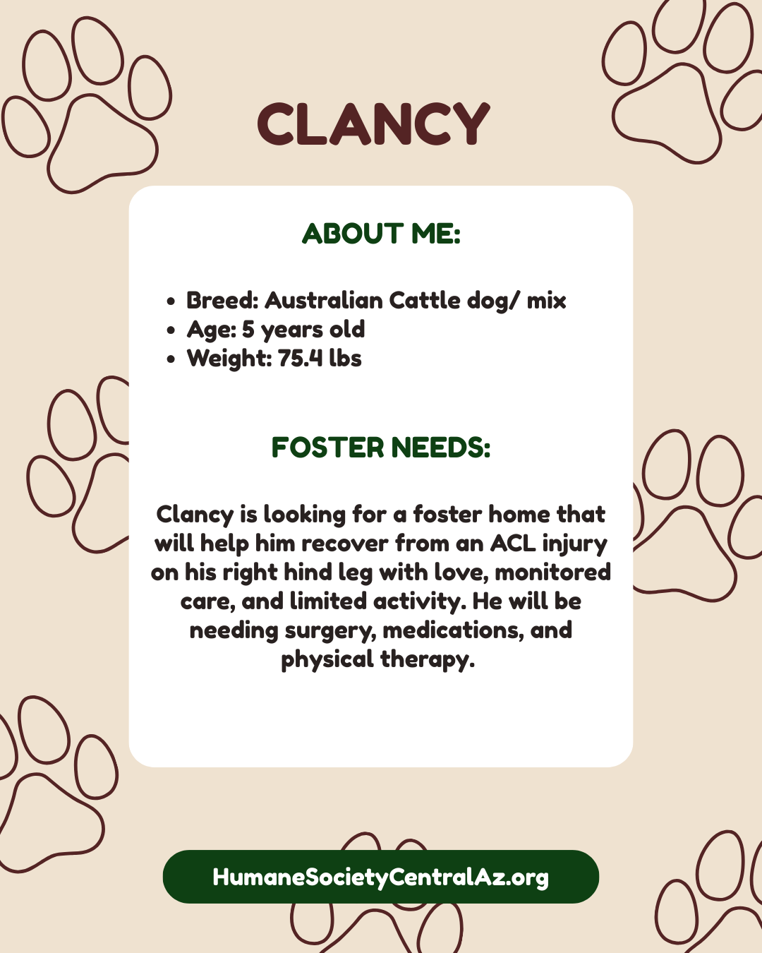 Clancy and Suzi Q Foster Feature pg 2