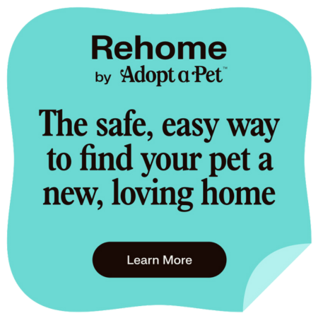 RehomebyAdoptaPet-safe