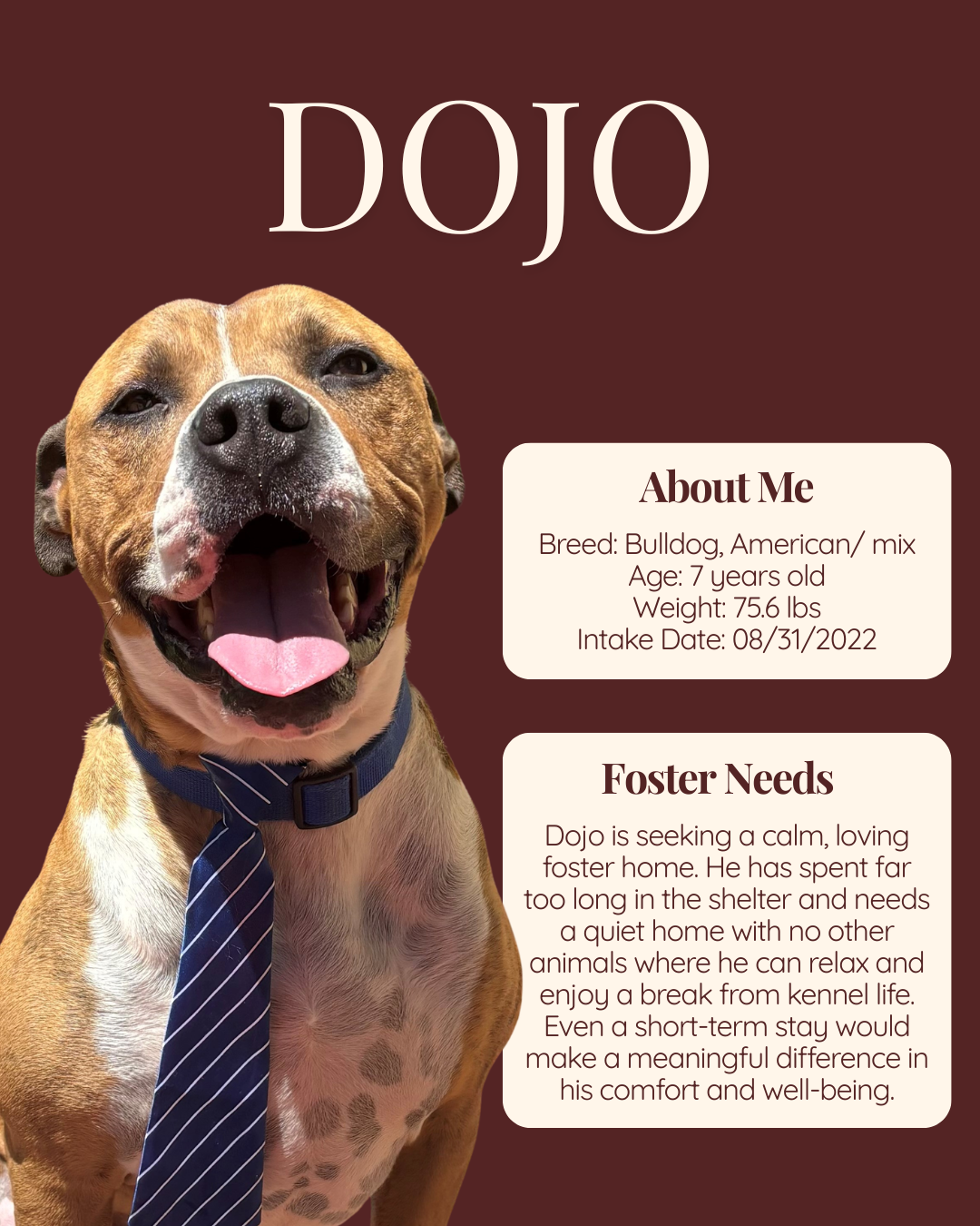 foster features Dojo