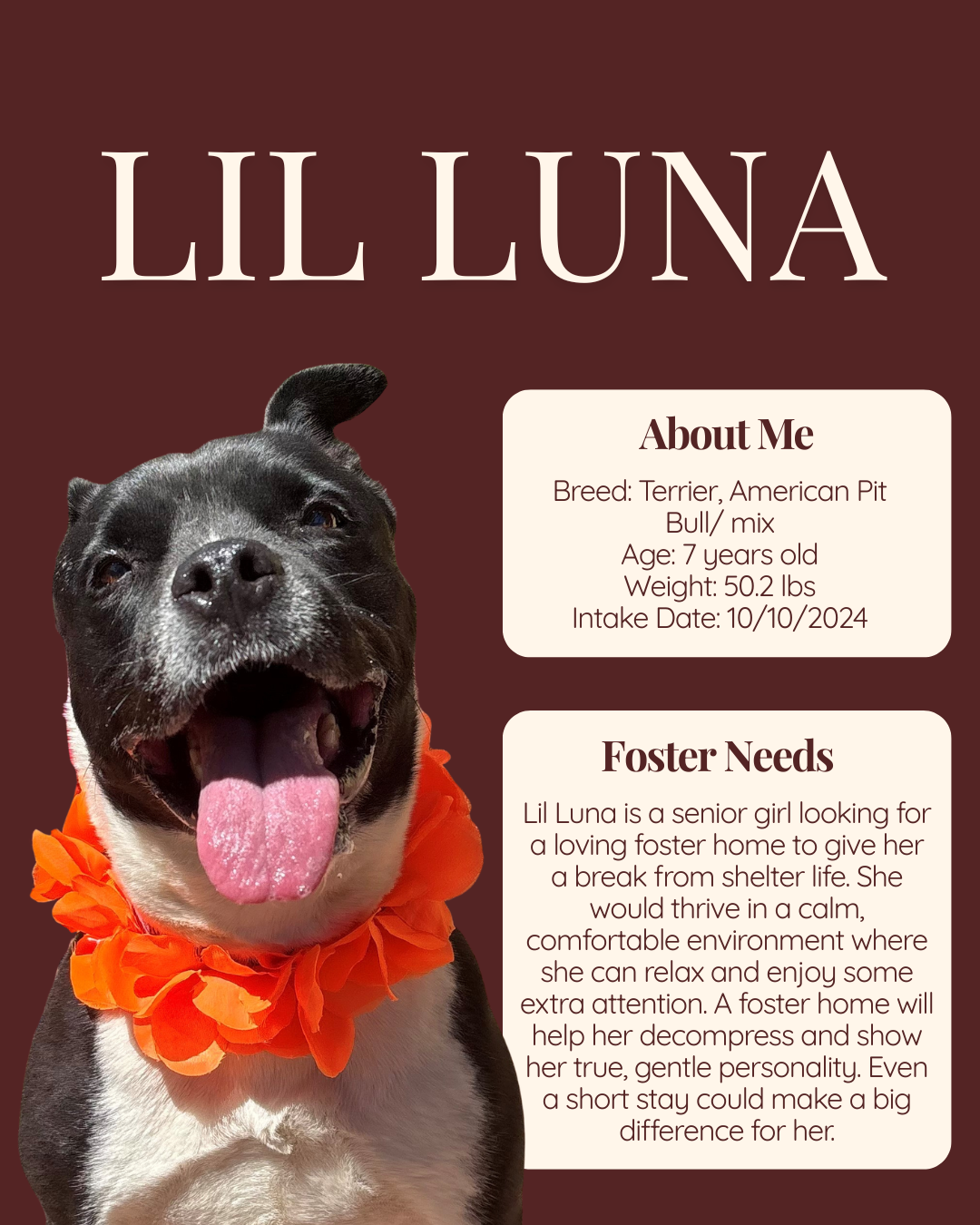 foster features Lil Luna