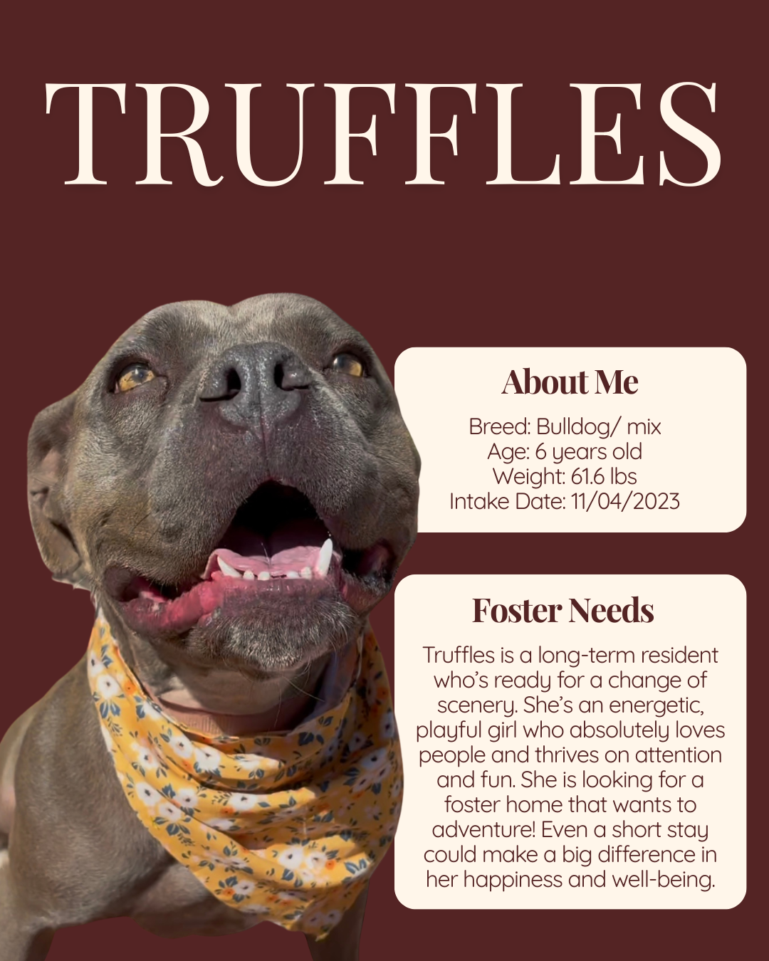 foster features Truffles